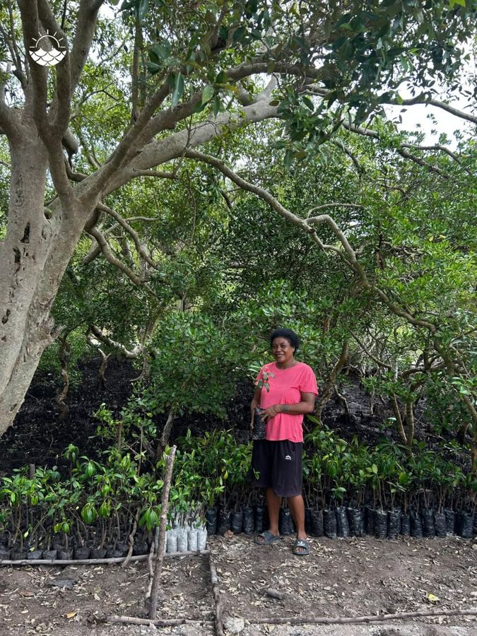 Lekwa Korina Douveri holding a mangrove seedling in front of her nursery beds
