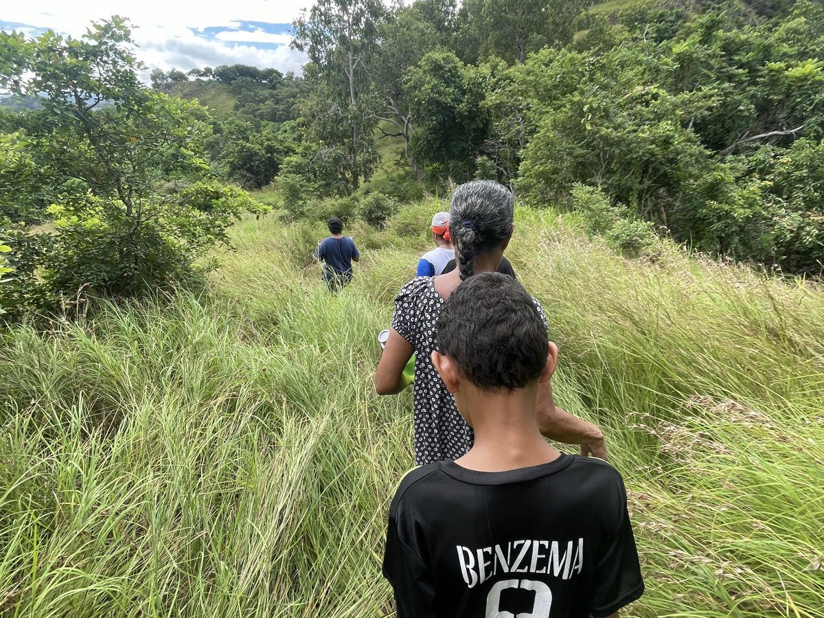 Hikers walking single file through tall grass on the Kohua hills