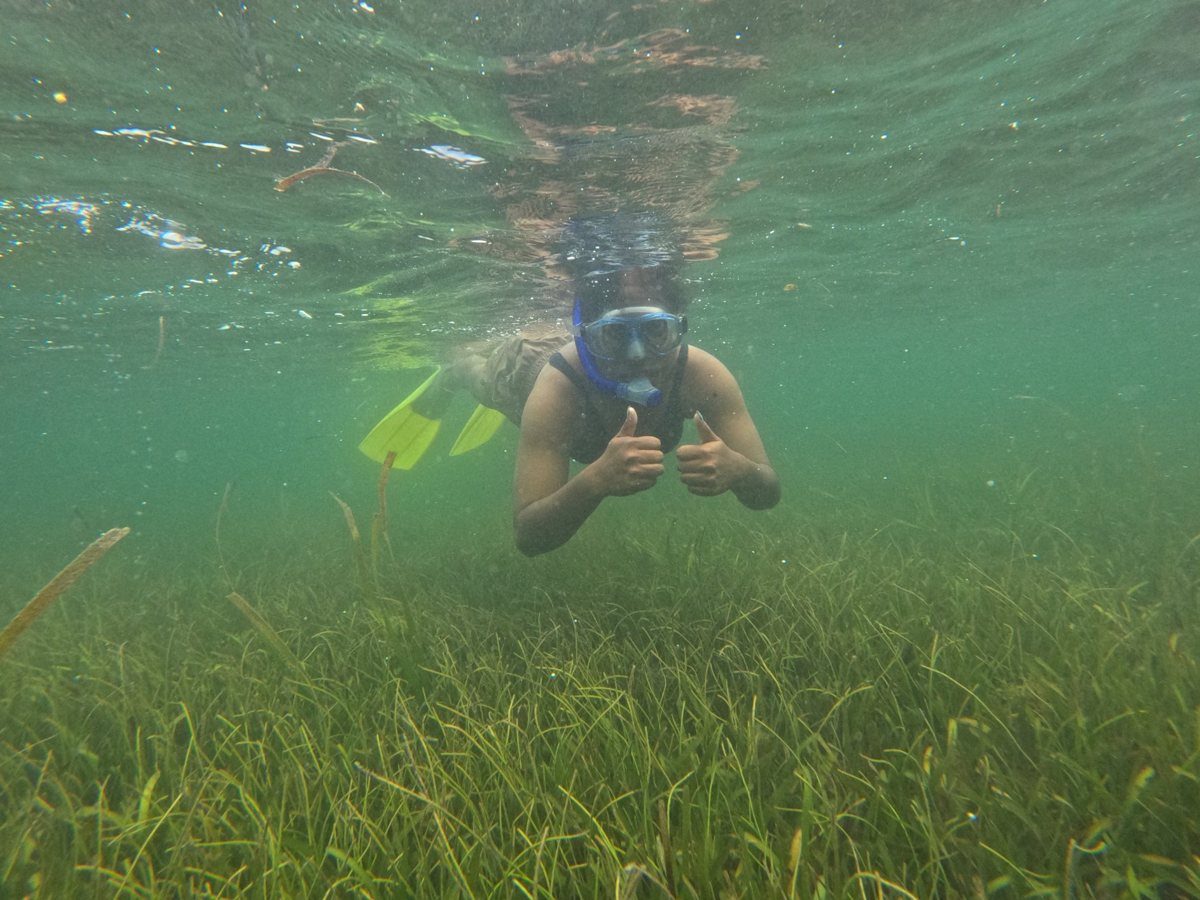 A snorkeller giving a thumbs up above a seagrass meadow